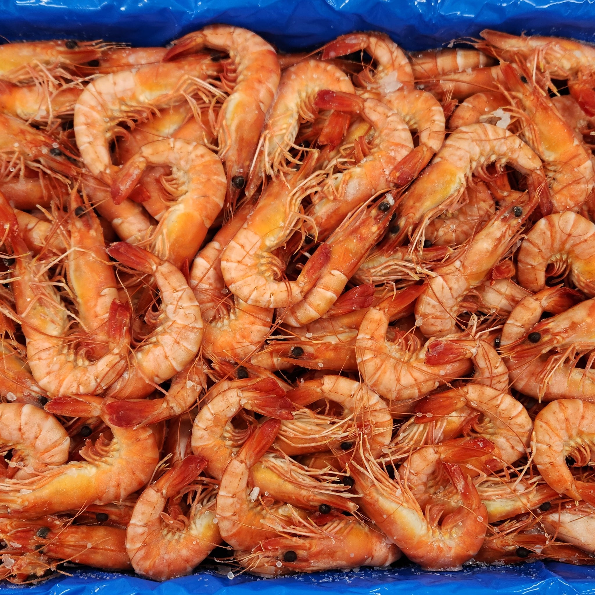 Whole Cooked Tiger Prawn U/20 5kg