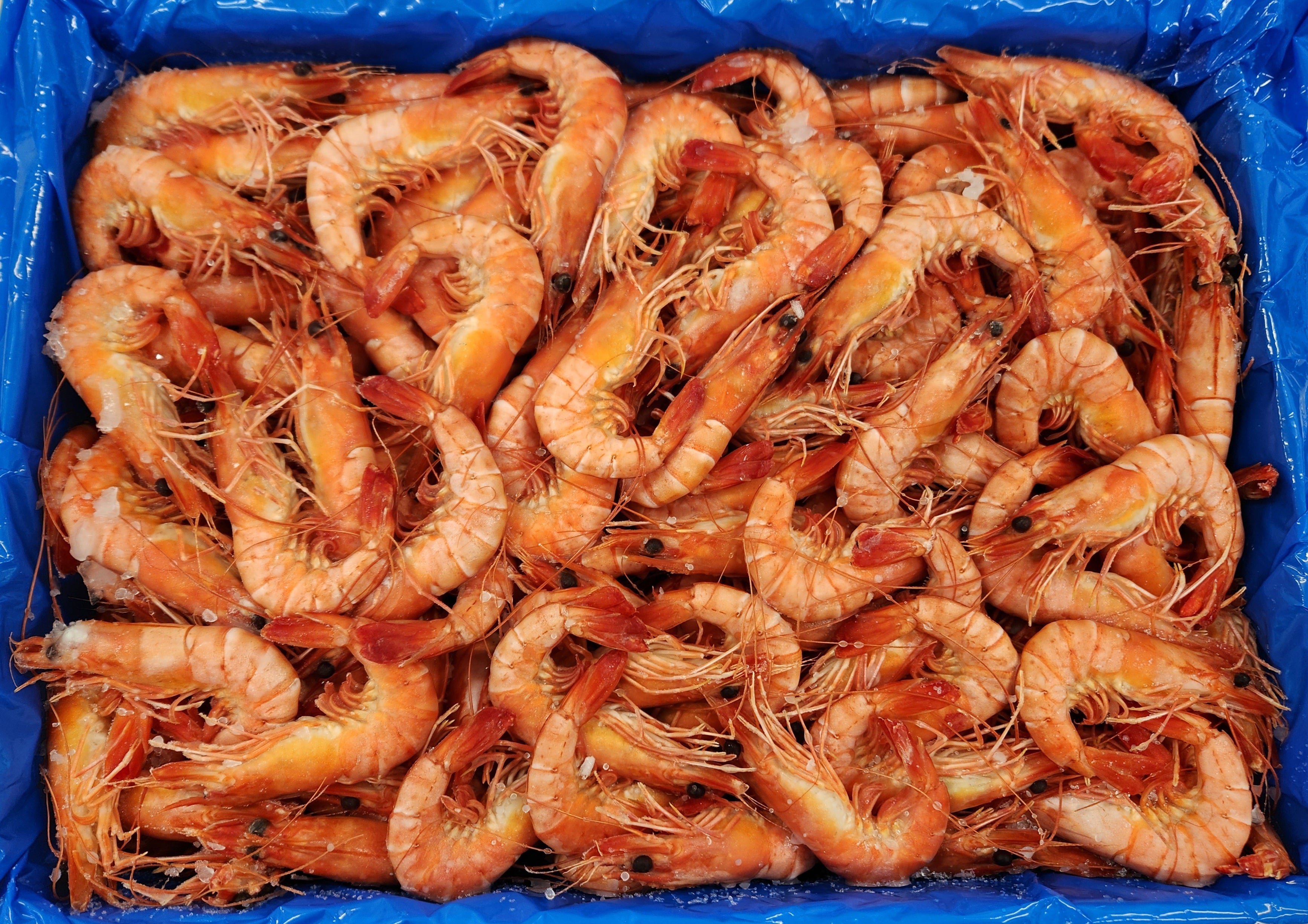 Whole Cooked Tiger Prawn U/20 5kg