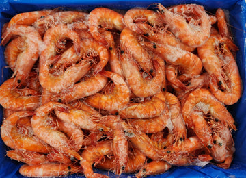 Vannamei Cooked Whole U15 Pink Strap 5kg