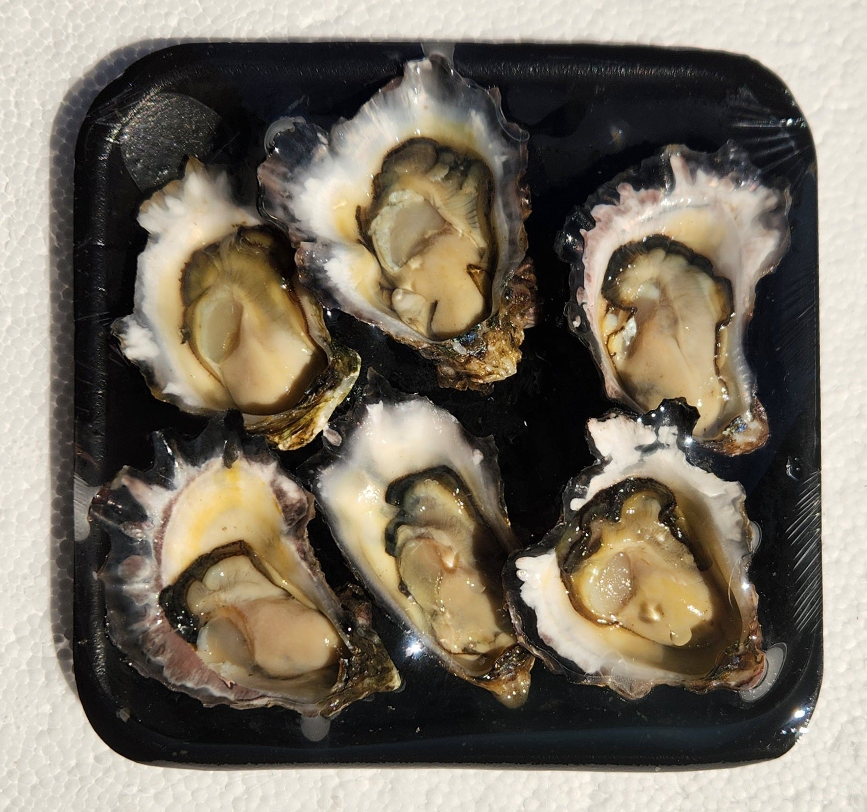 Sydney Rock Oysters - 1/2 Dozen