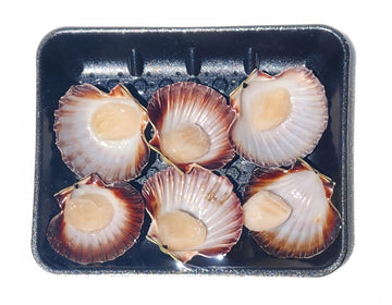 Half Shell Scallops - 6 Pack