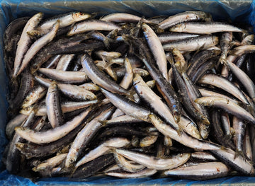Whole Sardines - 500g