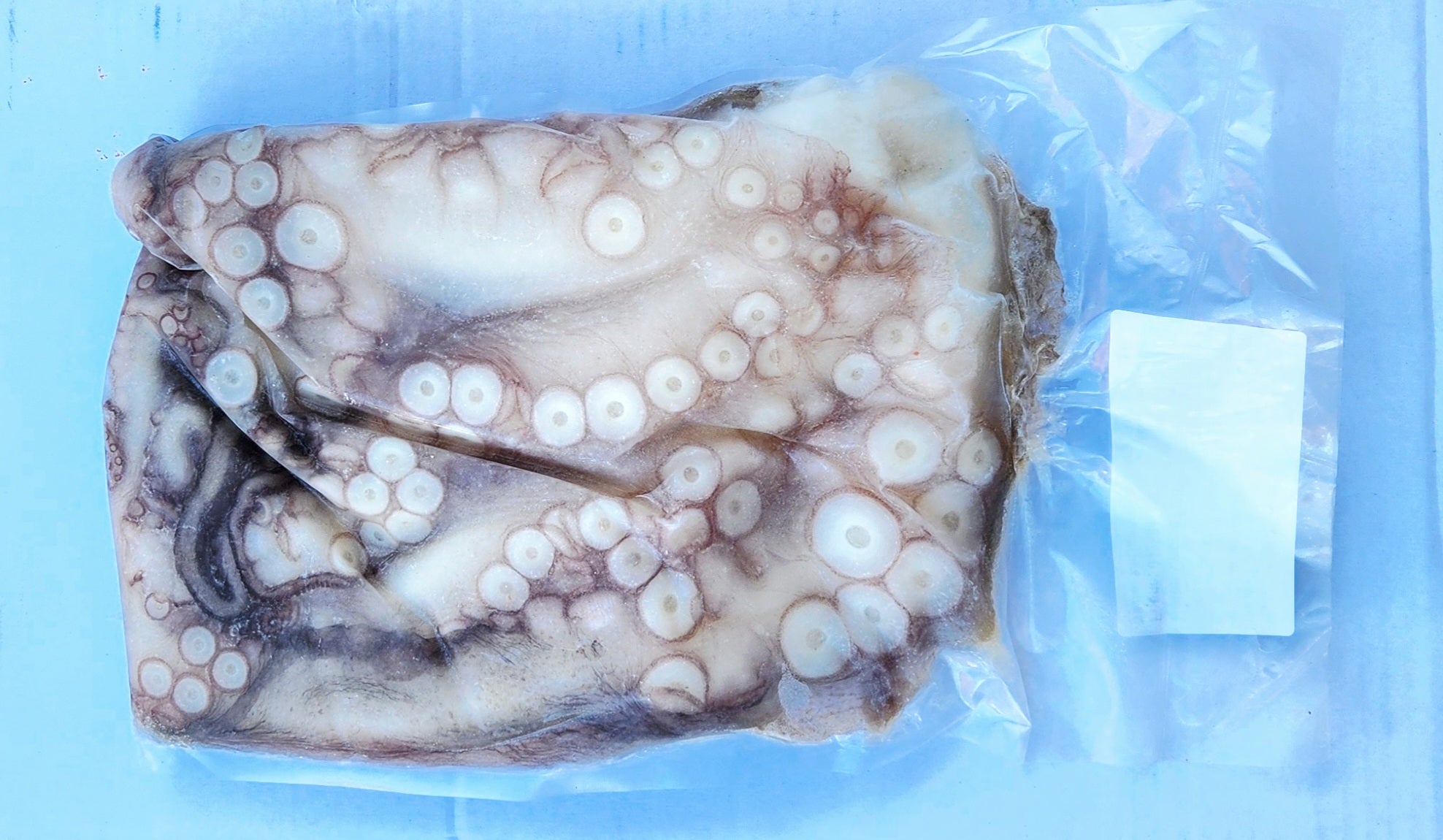 WA Octopus Hands 1kg