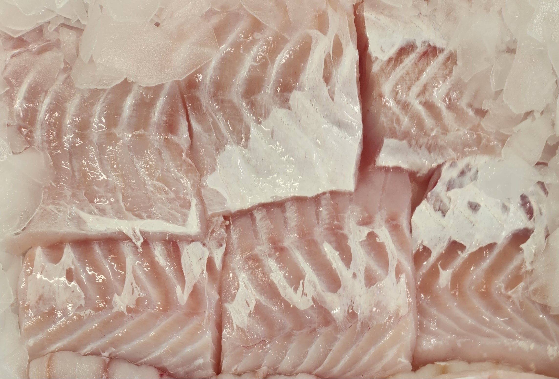 Fresh Ling Fillets