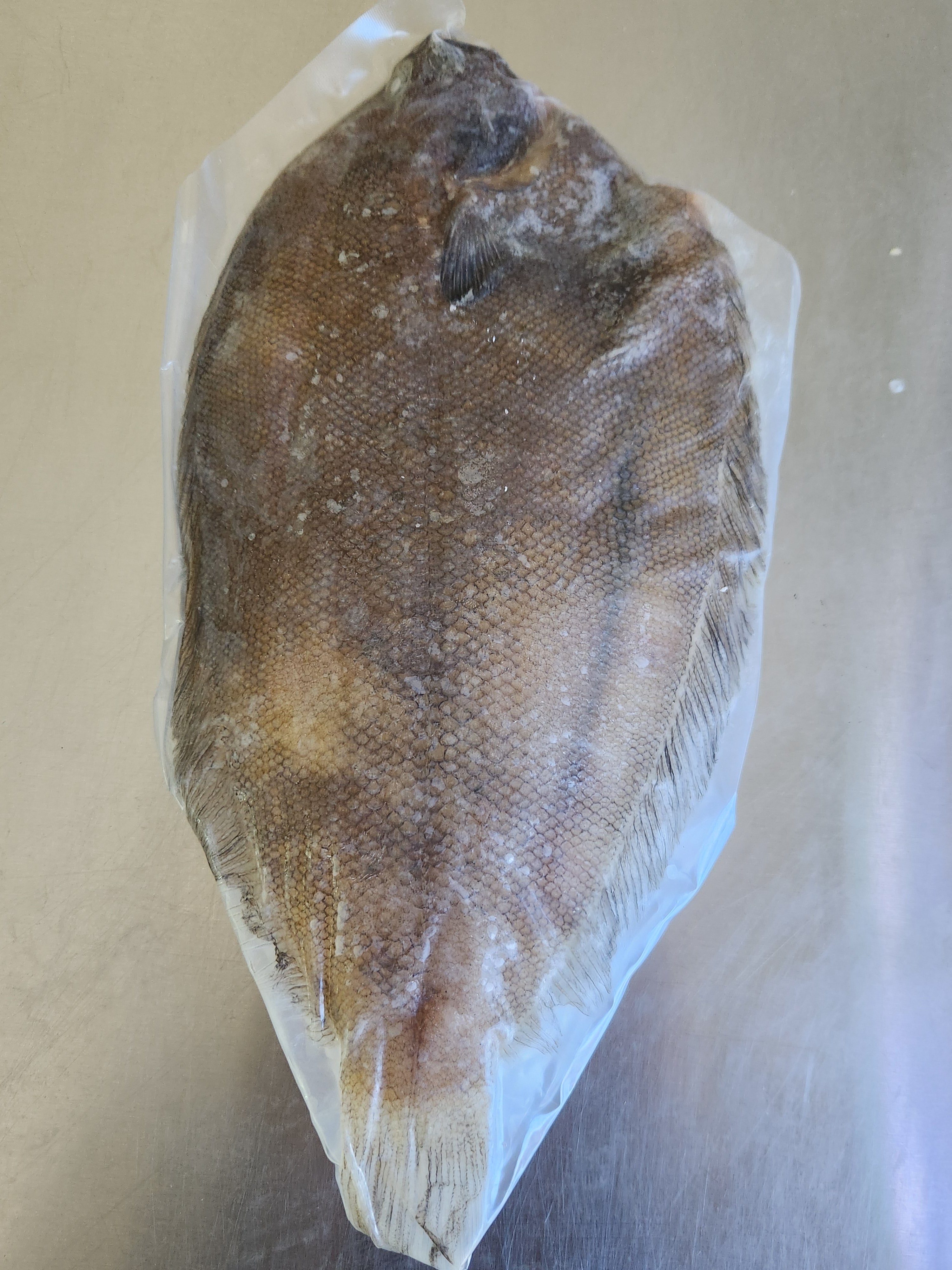 Frozen NZ Whole Lemon Sole