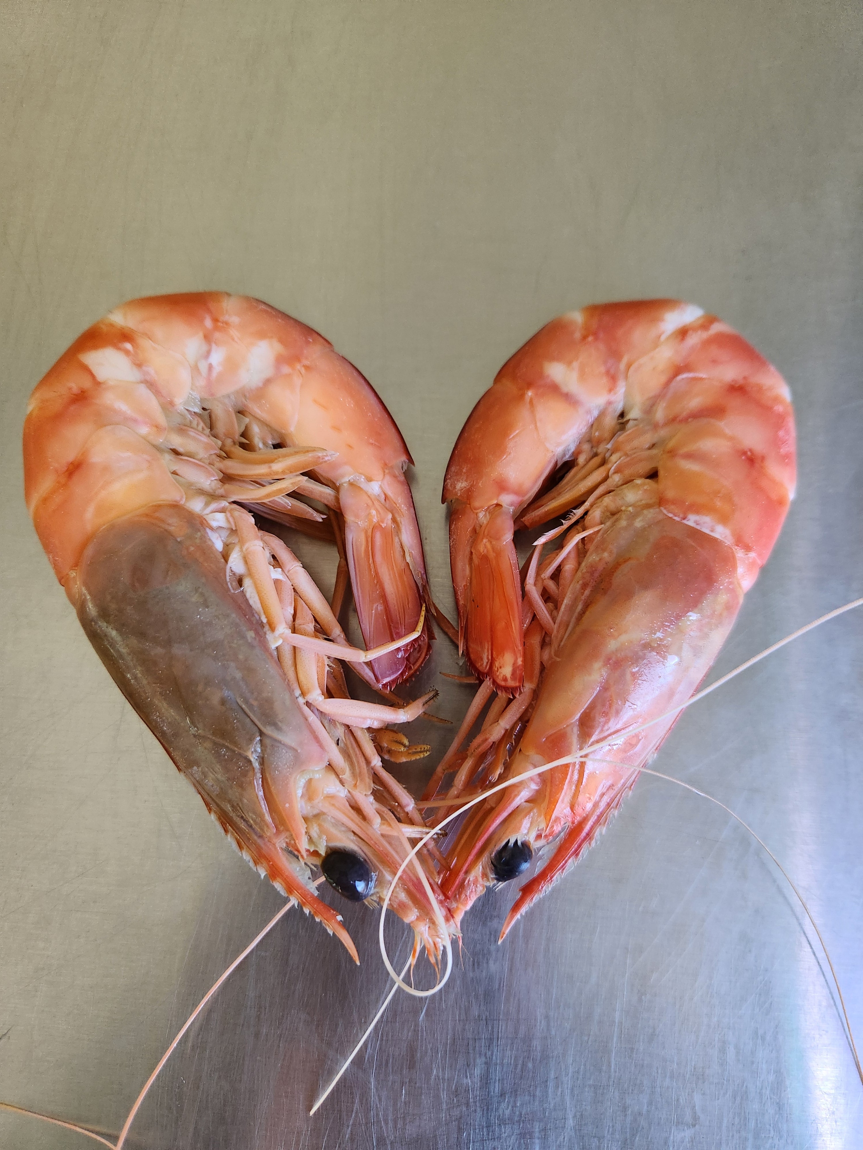 Fresh Cooked King Prawns - Large