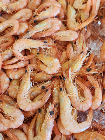Fresh Cooked School Prawns