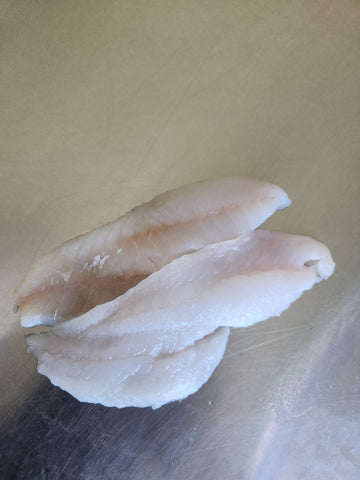 Sea Perch Fillets - Fresh