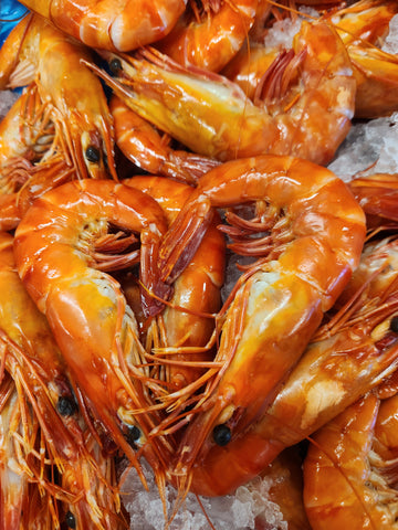 Fresh Australian Large Cooked Tiger Prawns