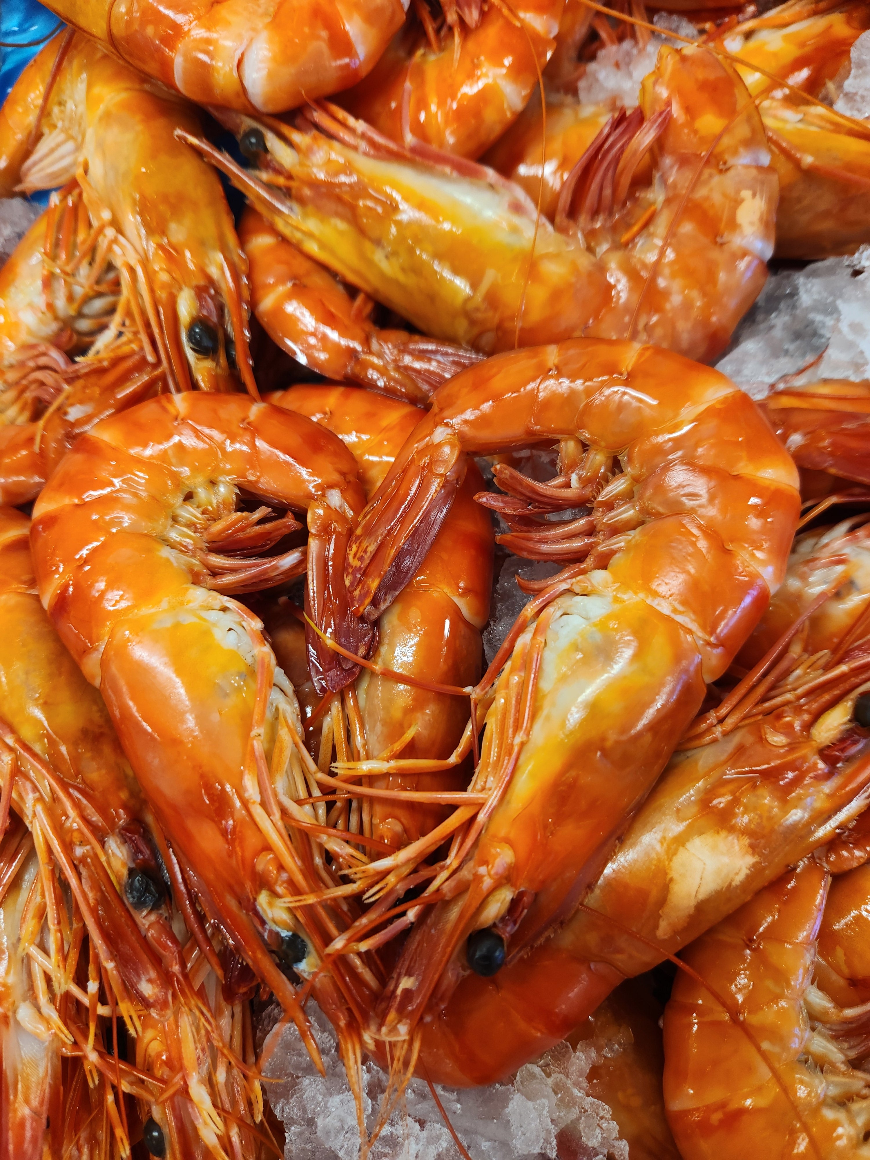 Fresh Cooked Tiger Prawns