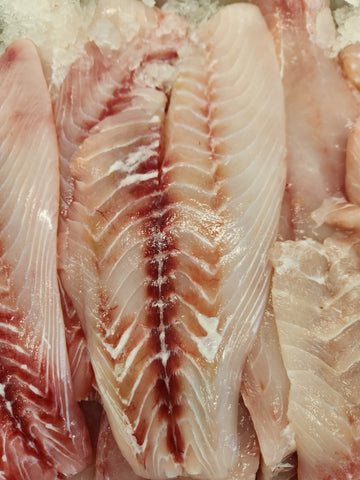 Fresh Tropical Snapper Fillets