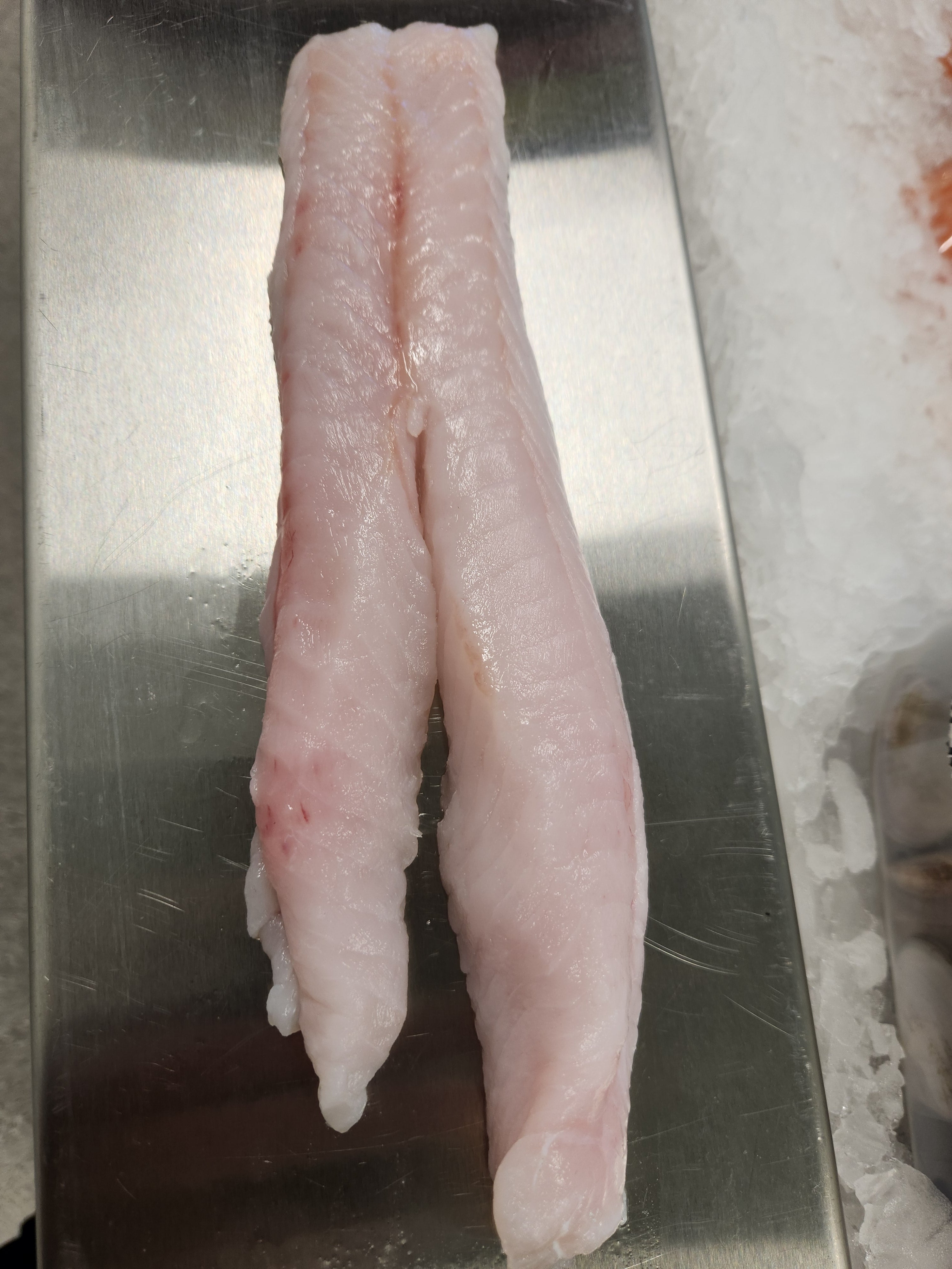 Fresh Monkfish Fillets