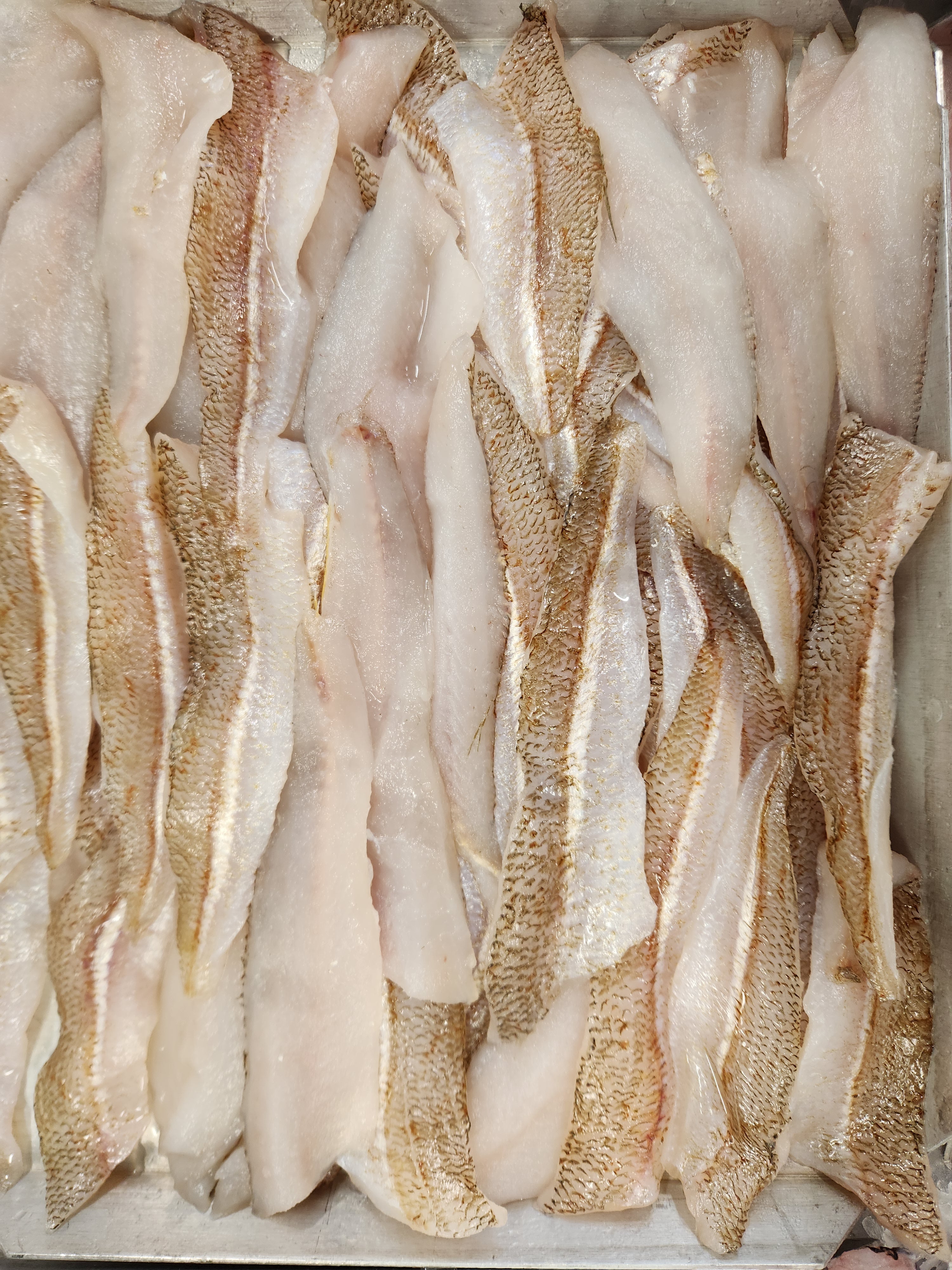 Fresh Australian Whiting Fillets