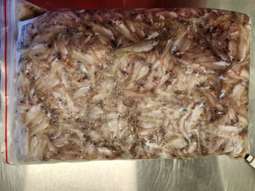1kg Whitebait