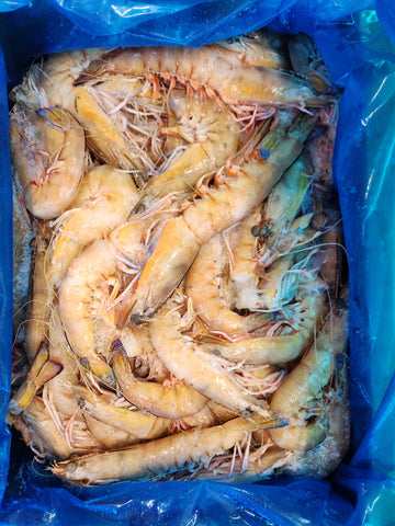 Whole Large Raw King Prawn SB