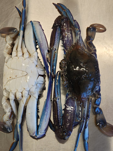 Blue Swimmer Crab - Raw