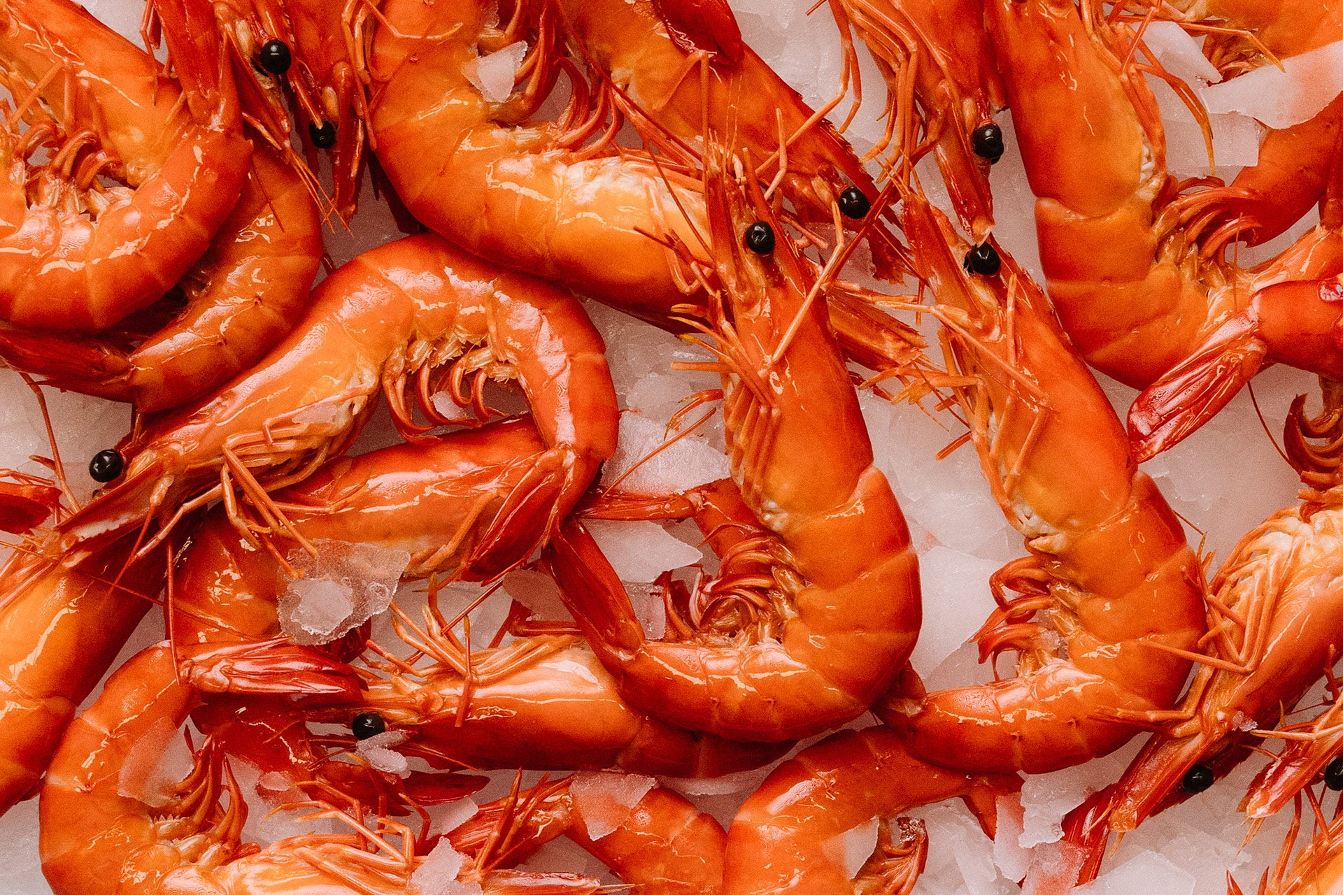 Whole Cooked Tiger Prawn Medium 1kg